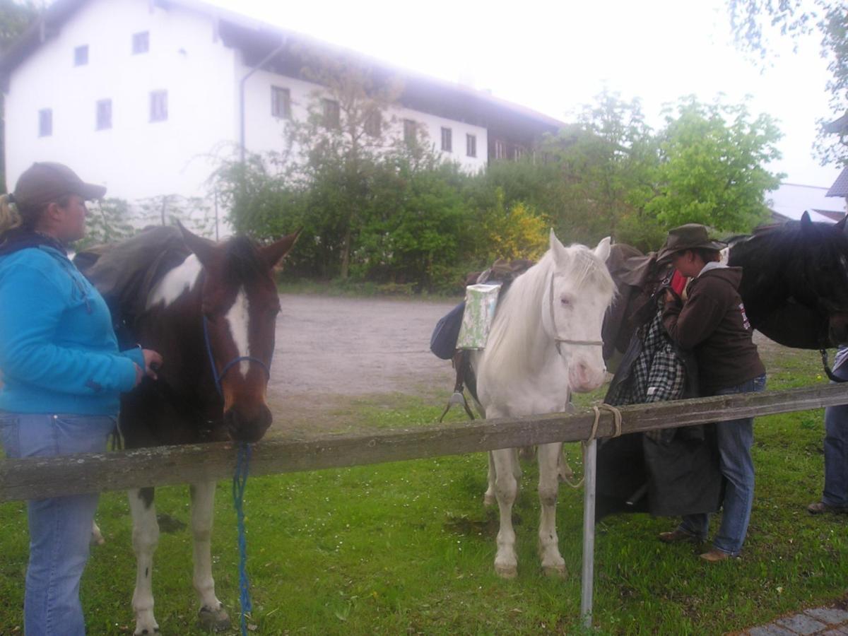 Gasthaus Zum Spaeth Englmannsberg Exteriör bild